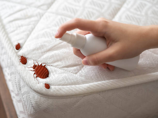 Best Real Estate Pest Inspections  in Buford, GA